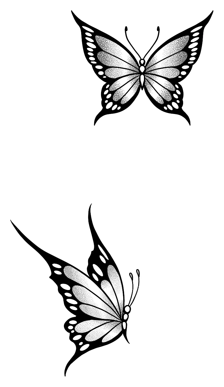 Two butterfly studies in black linework by Brodie Bailey.