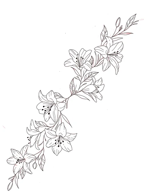 Fine outlined lilies and leaves drawn by Brodie Bailey.